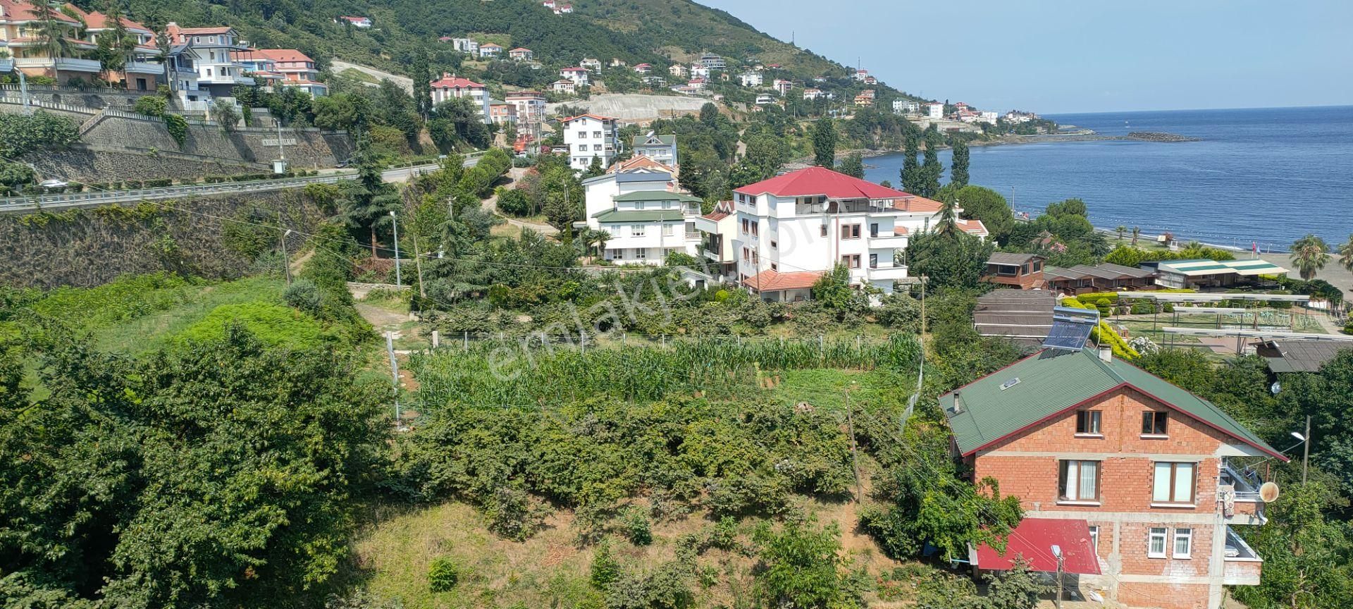 Akçaabat Akçakale Deniz Kenarında Satılık Otel Ve Arsası - Görsel 13