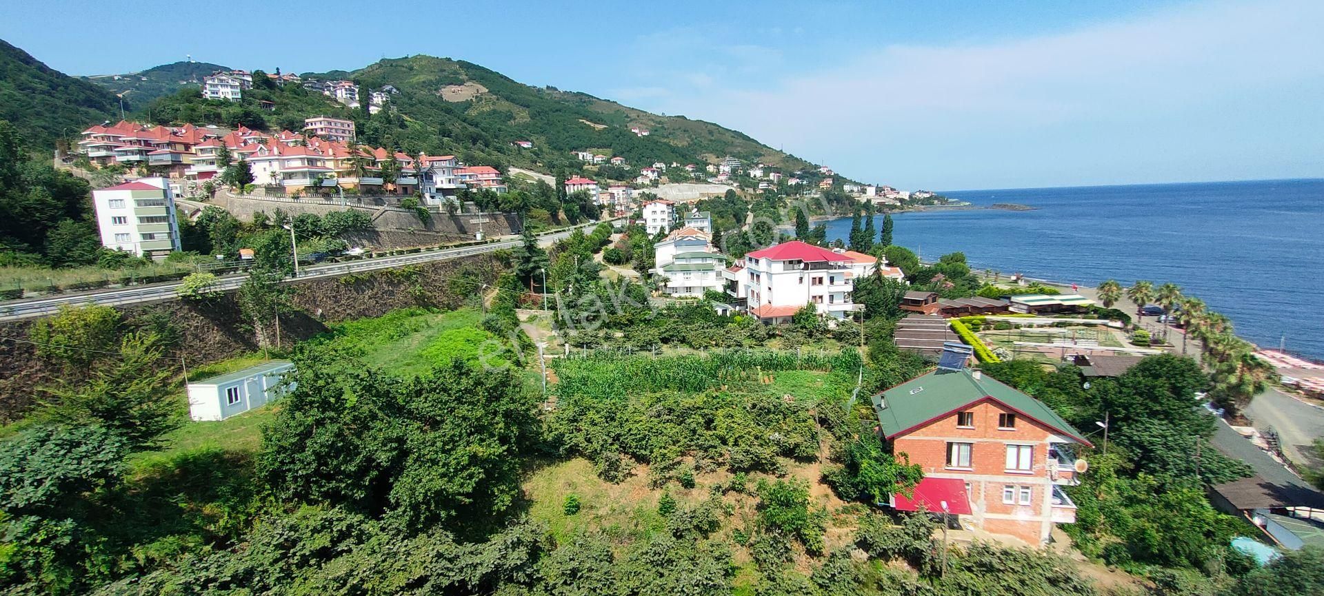 Akçaabat Akçakale Deniz Kenarında Satılık Otel Ve Arsası - Görsel 20