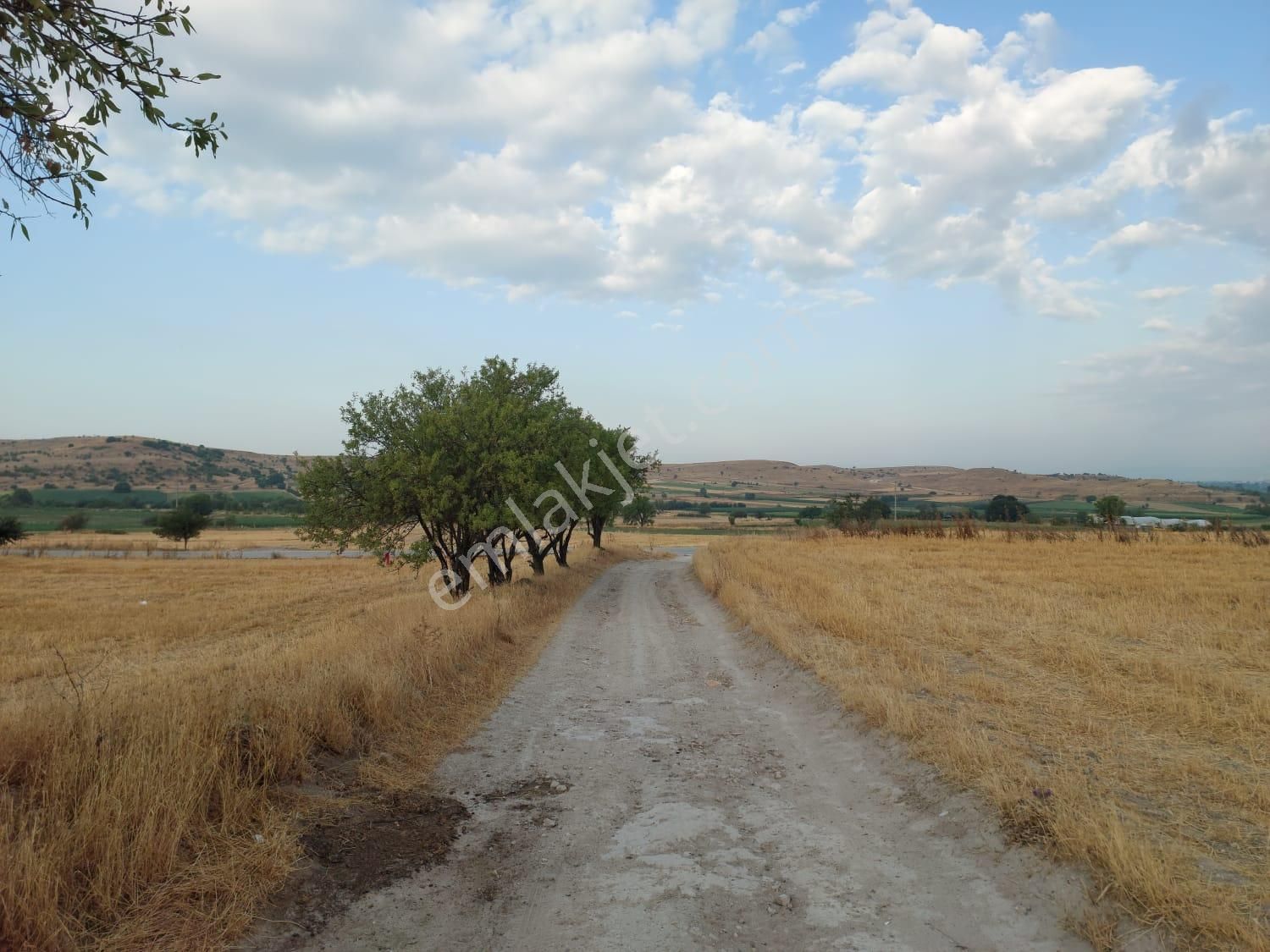 Kepsut Hotaşlar Satılık Tarla İMARA YAKIN,YOLU OLAN TARLA-TARIM ARAZİSİ,AÇIKLAMAYI OKUYUNUZ.