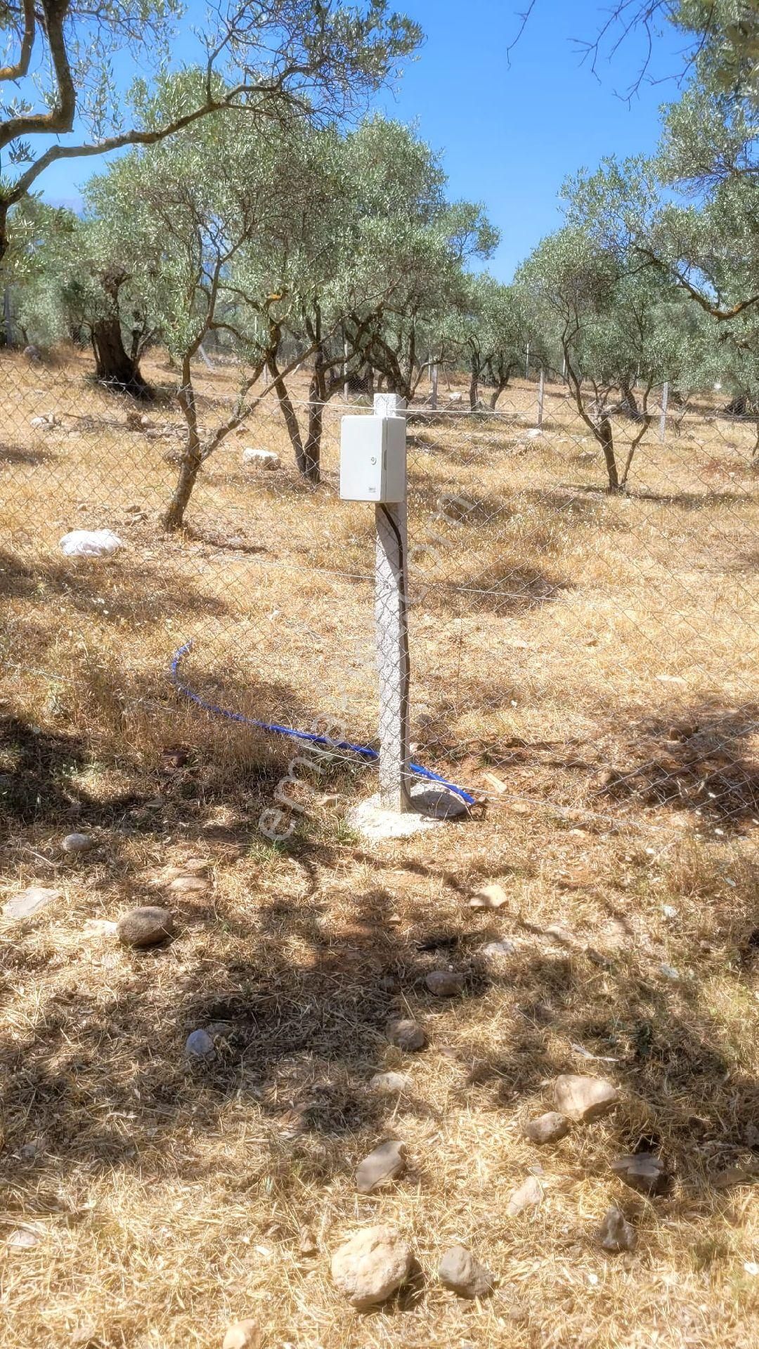 Torbalı Dağkızılcık Ta Tek Tapu Eletrik Su Abonelığı Var Satılık - Görsel 16