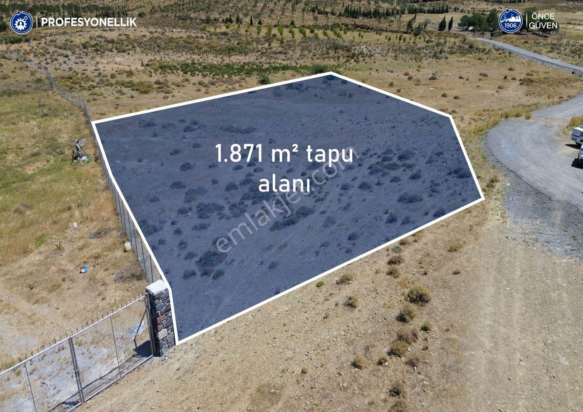 Karaburun Parlak Köyü'nde Gölet Yakınında Tarla - Görsel 2