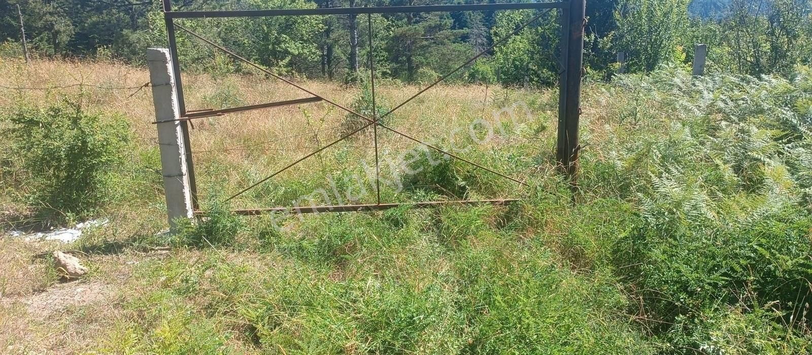 İnebolu Yeşilöz Satılık Tarla Kastamonu İnebolu Yeşilöz Mahallesinde Satılık Tarla