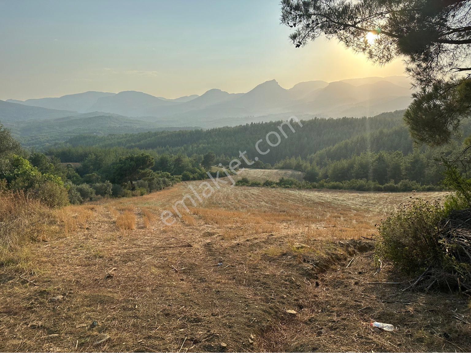 Karaisalı Maraşlı Satılık Tarla Sahibinden