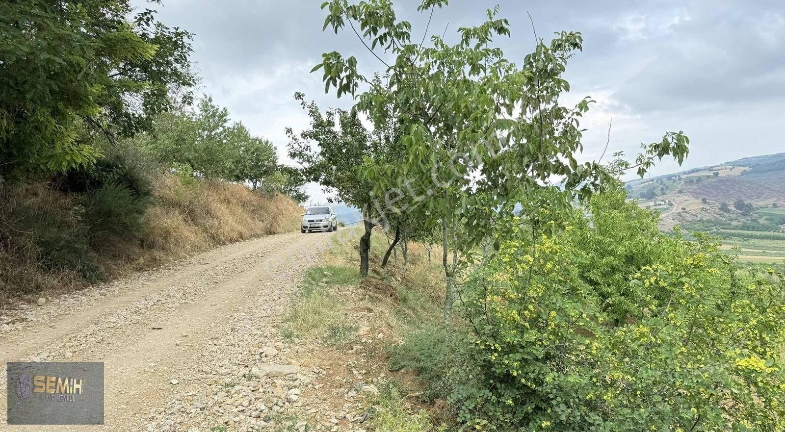 Semih'den Alaylıda Köy Yanı 2800 M2 Bol Çeşitli Meyve Bahçesi - Görsel 2