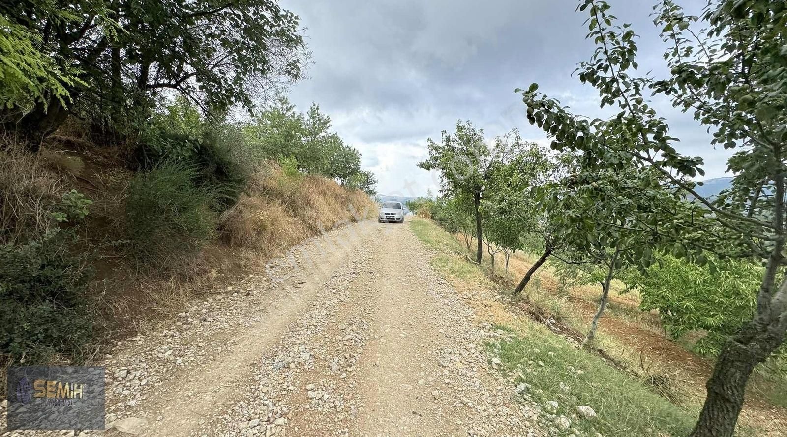 Semih'den Alaylıda Köy Yanı 2800 M2 Bol Çeşitli Meyve Bahçesi - Görsel 9