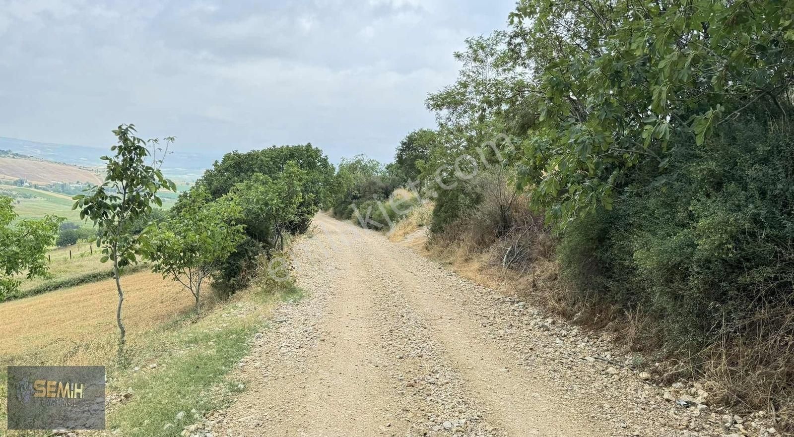 Semih'den Alaylıda Köy Yanı 2800 M2 Bol Çeşitli Meyve Bahçesi - Görsel 11