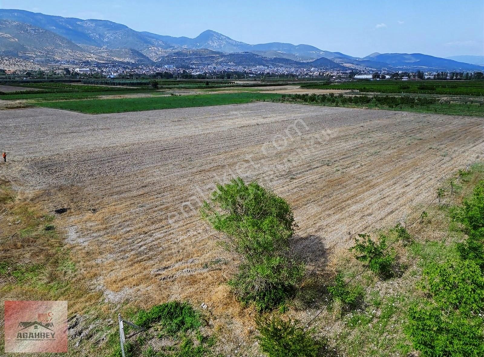 Pamukova Çardak Satılık Tarla PAMUKOVA MERKEZİN DİBİNDE 7480 M2 RESMİ YOLA CEPHE DÜZ ARAZİ