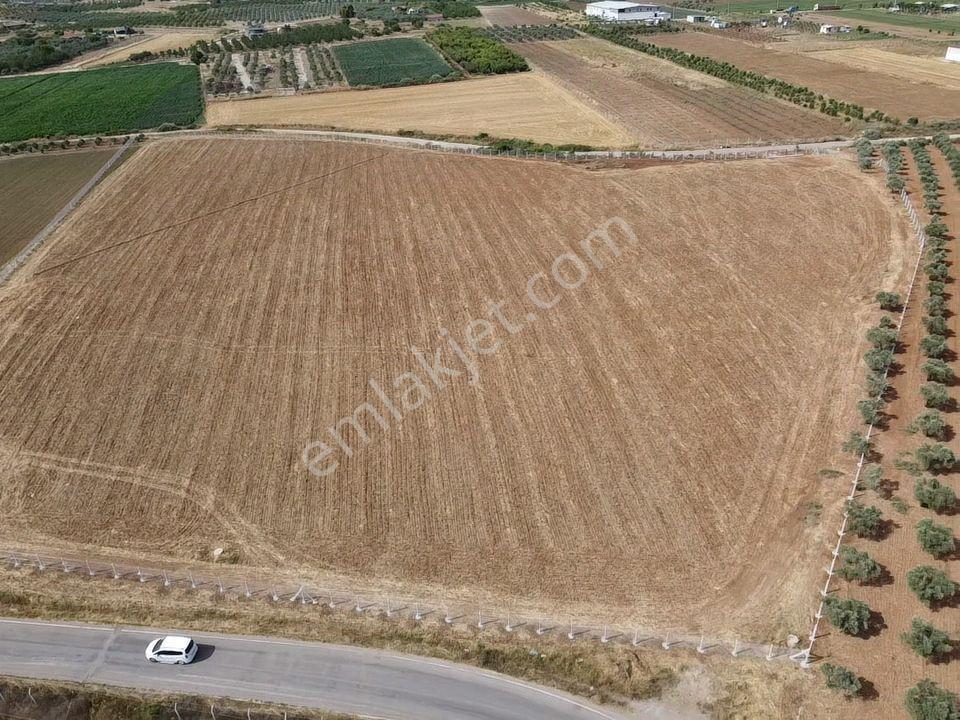 Menderes Turyap'tan Oğlananasında 5000m² Kiralık Arazi - Görsel 2