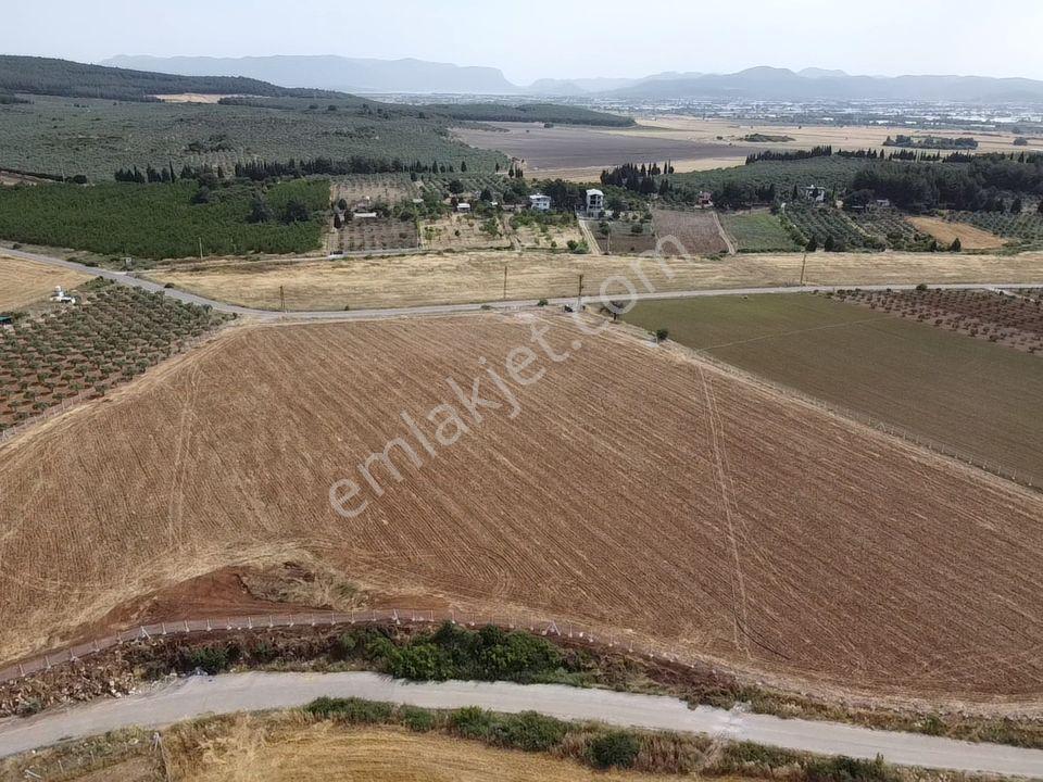 Menderes Turyap'tan Oğlananasında 5000m² Kiralık Arazi - Görsel 6