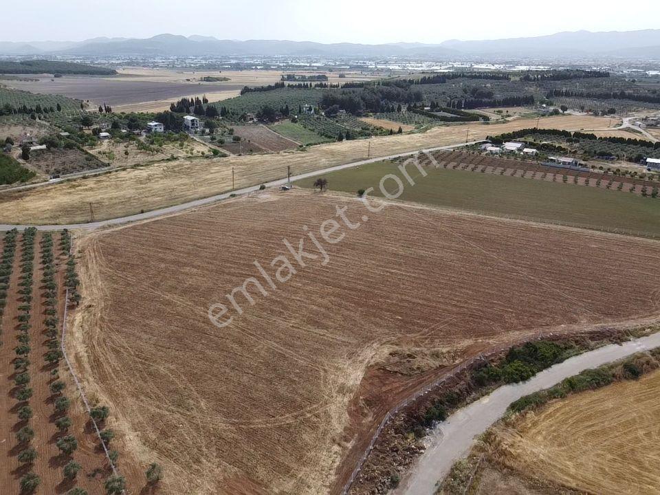 Menderes Turyap'tan Oğlananasında 5000m² Kiralık Arazi - Görsel 7