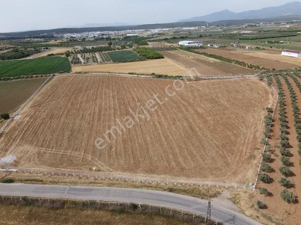 Menderes Turyap'tan Oğlananasında 5000m² Kiralık Arazi - Görsel 3