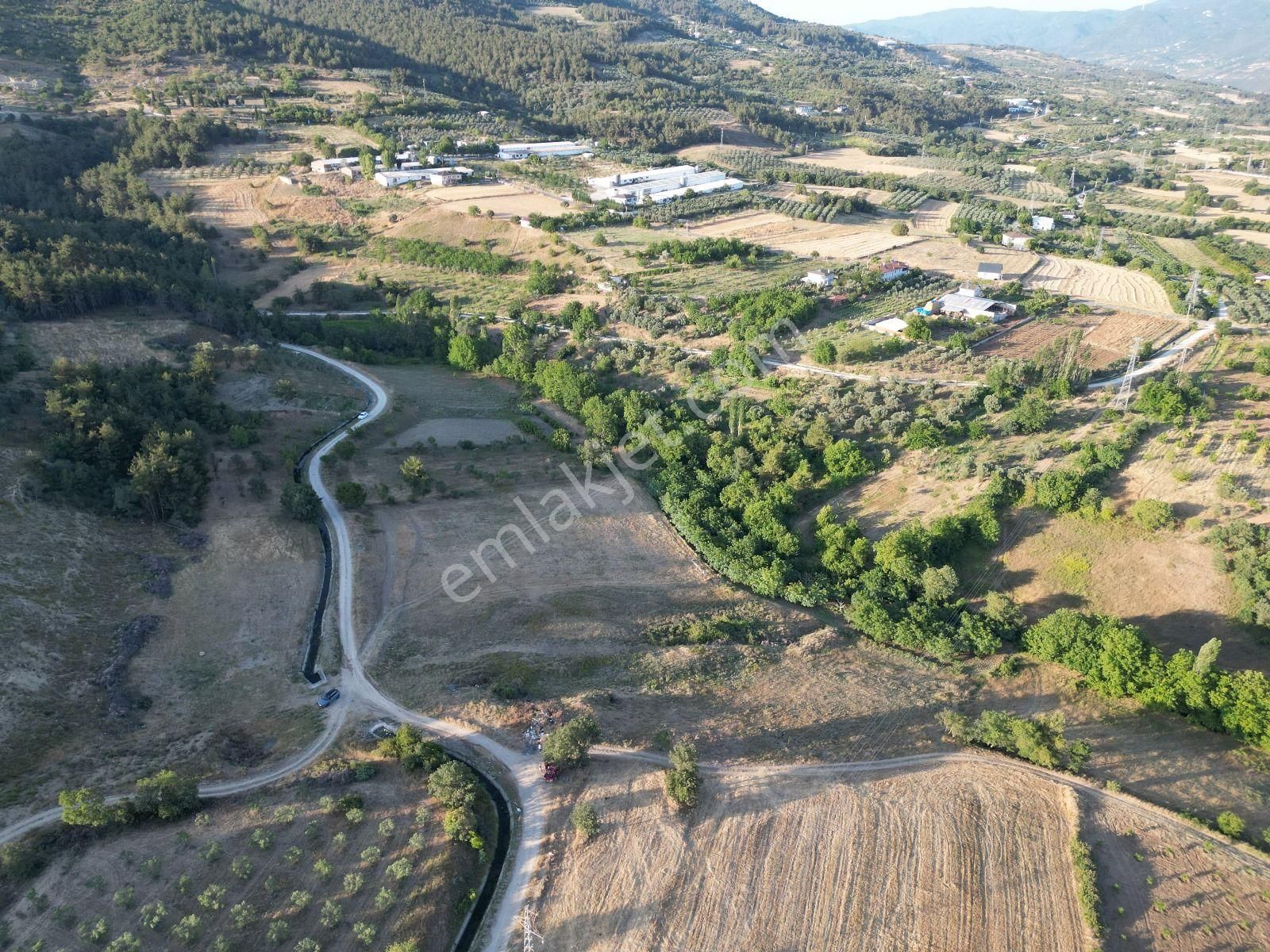 Pamukova Teşvikiye Satılık Arazi Turyap'tan Pamukova Teşvikiye'de Uygun Fiyatlı Yatırımlık Arazi