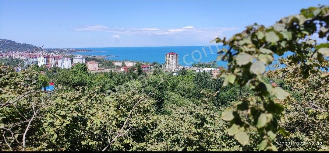 Vakfıkebir Çamlık Sahil Satılık Konut İmarlı imarlı deniz manzaralı arsa