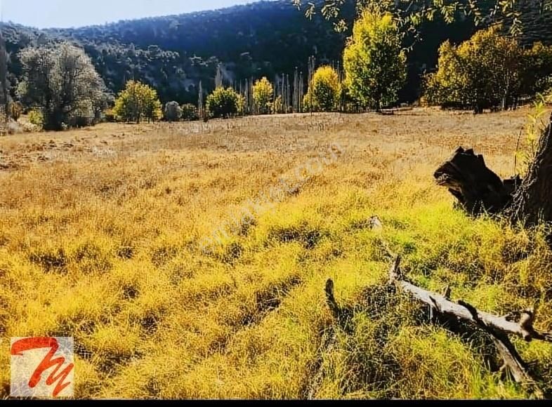 Ulubey Büyükkayalı Köyü Satılık Tarla Dereye Sıfır kadastrol yola sıfır kelepir arazi dersen seviniri