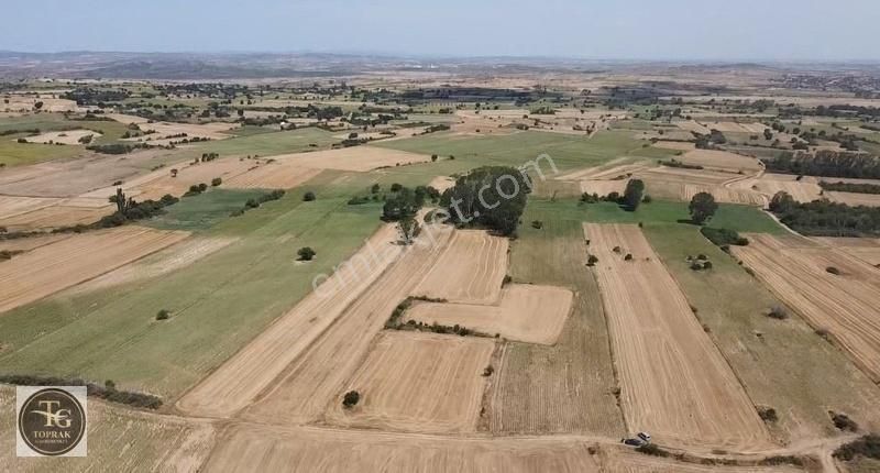 Kırklareli Merkez Kayalı Köyü Satılık Tarla Kırklareli Kayalı'da Satılık 20.405 M2 Yatırımlık Fırsat Arazi