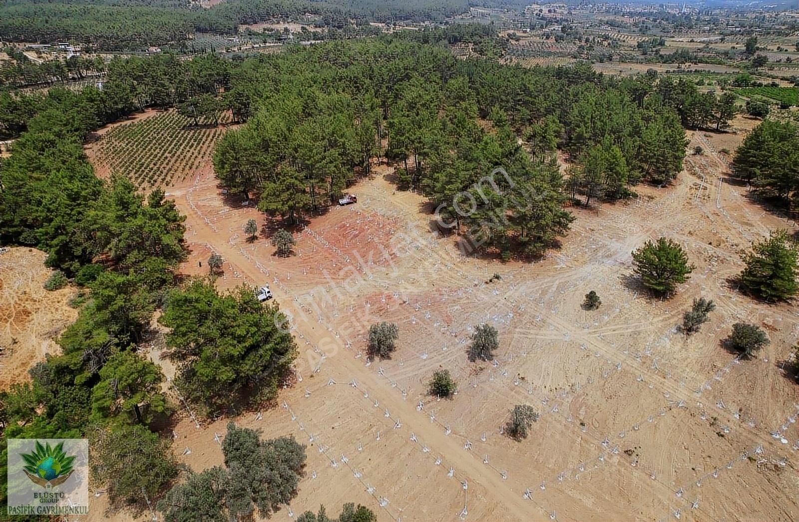 Pasifik' Ten Yeniköyde Organik Üzüm Bağları Olan 245 M² Bahçeler - Görsel 8