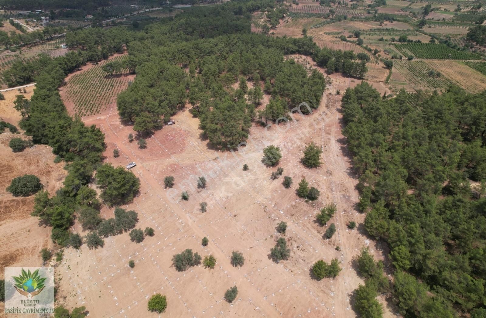 Menderes Yeniköy Satılık Bağ & Bahçe PASİFİK' TEN YENİKÖYDE ORGANİK ÜZÜM BAĞLARI OLAN 245 m² BAHÇELER