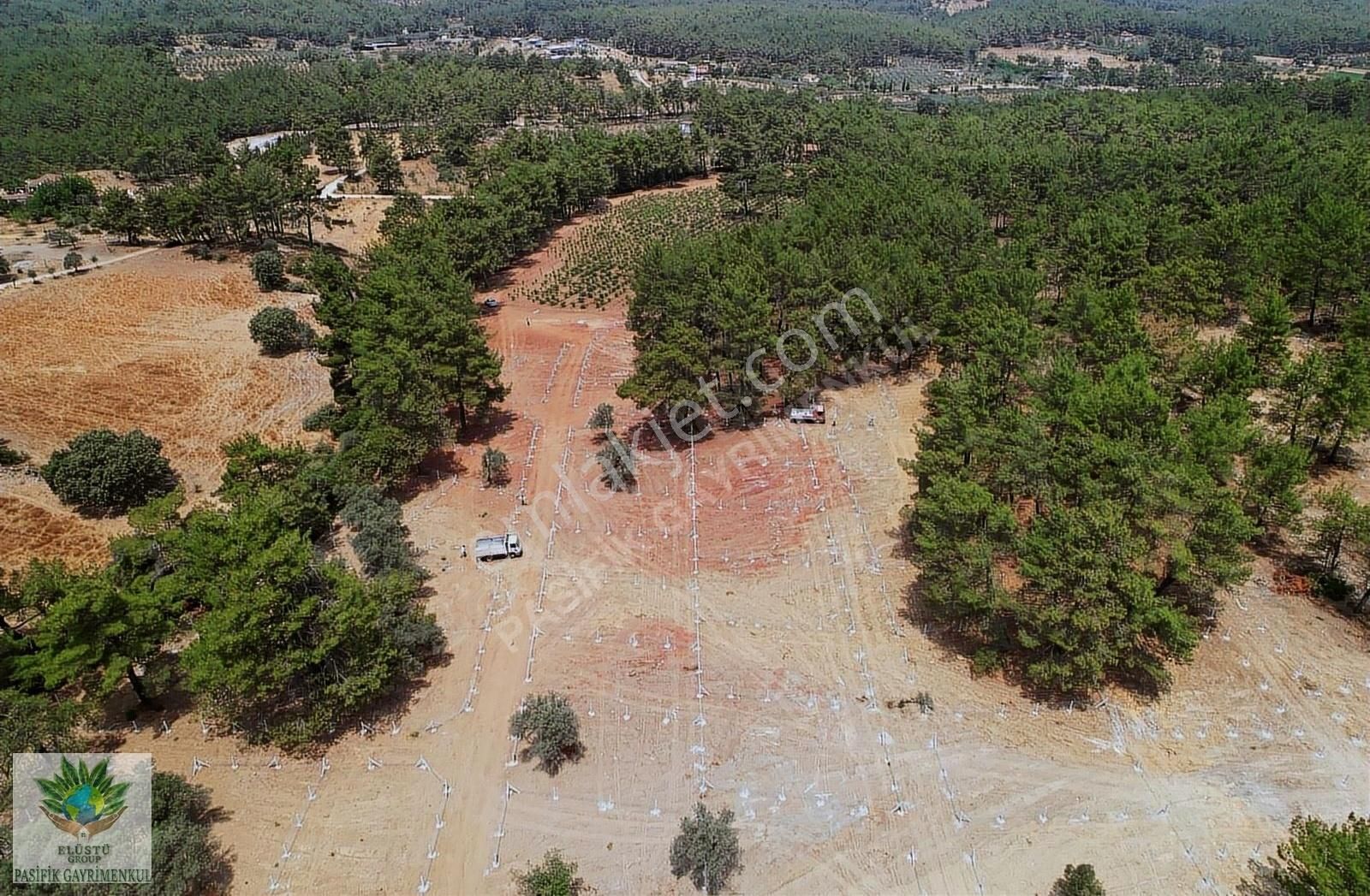 Pasifik' Ten Yeniköyde Organik Üzüm Bağları Olan 245 M² Bahçeler - Görsel 3