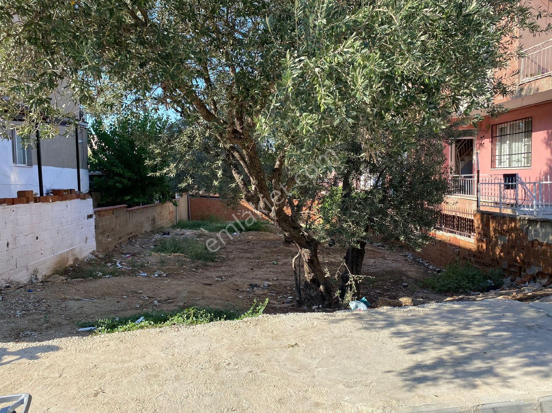 Alaşehir Beşeylül Satılık Konut İmarlı Alaşehir Merkezde Harika konumda Yatırımlık Arsa