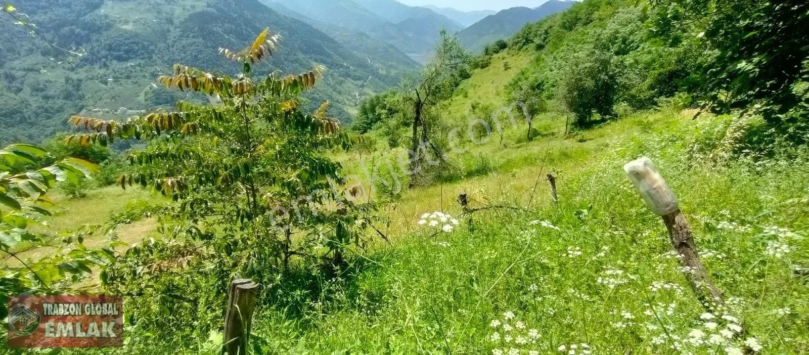 Maçka Günay Satılık Muhtelif Arsa Maçka Günay Mahallesinde Satılık Müstakil, Çok Güzel Arazi