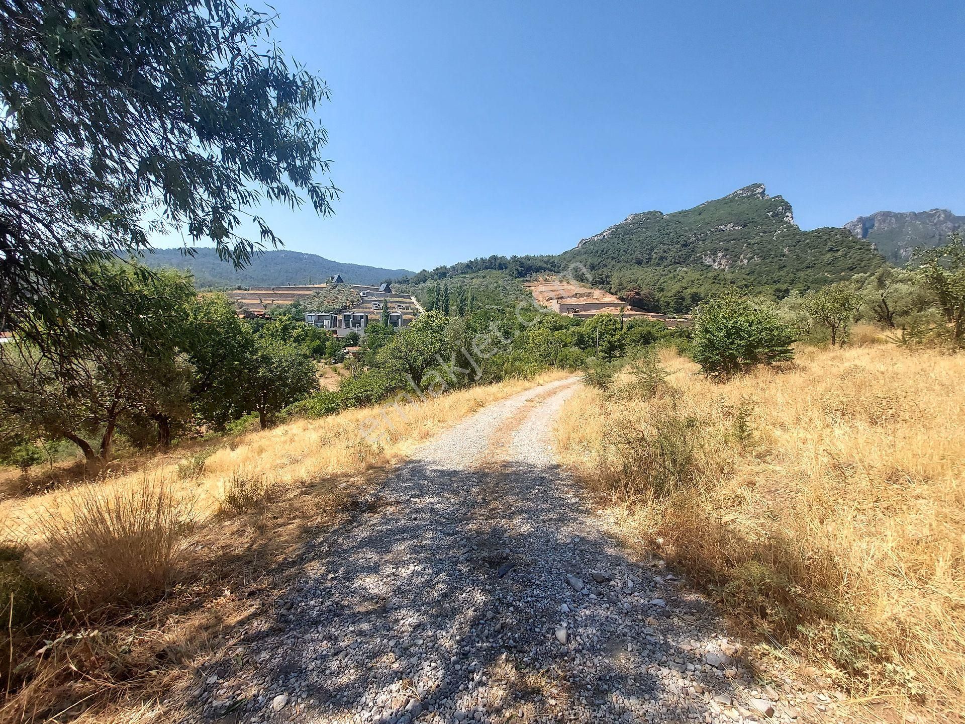 Çiniliköy'de Manzaralı Zeytinli Tarla Satılıktır - Görsel 24