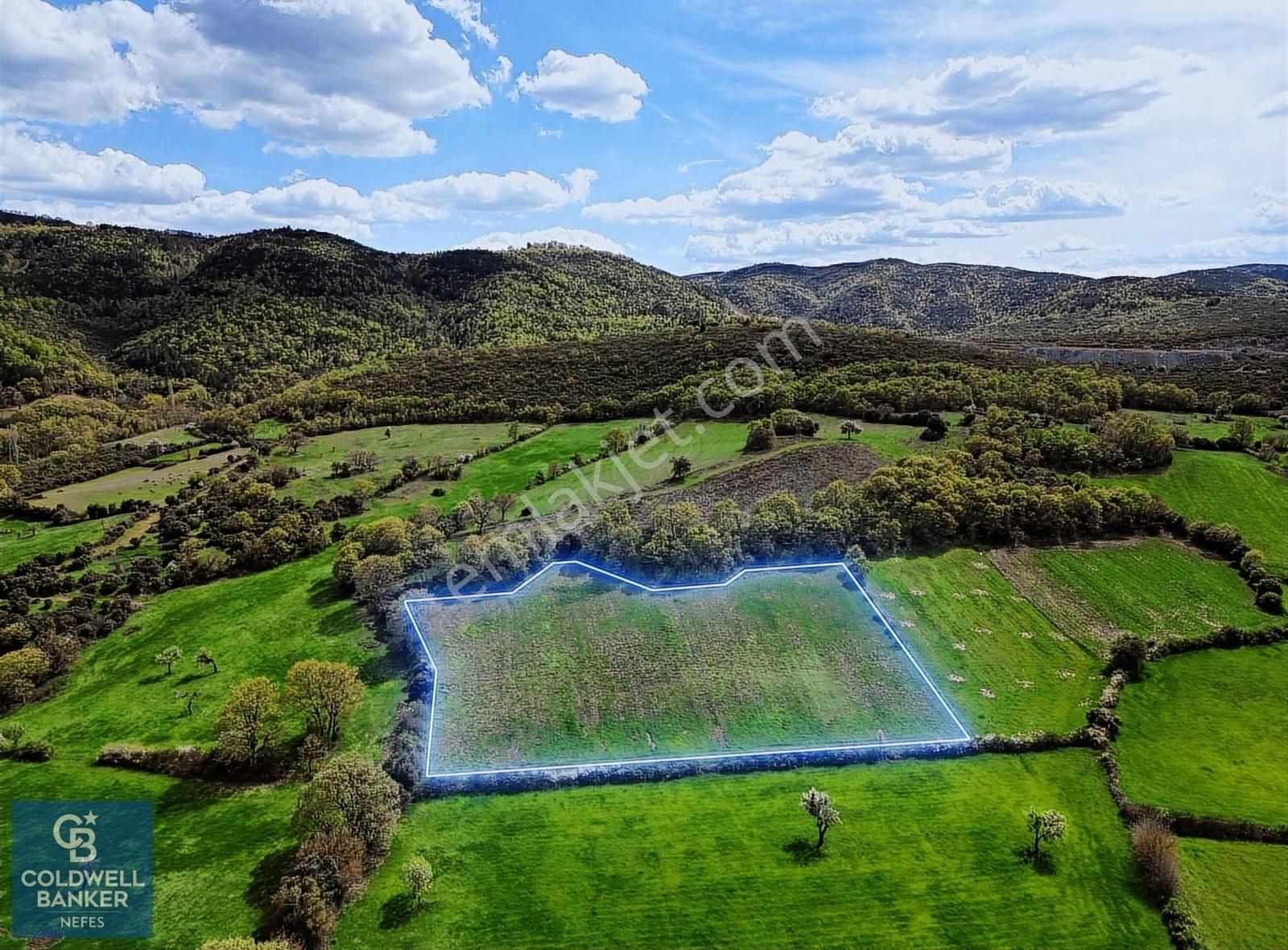 Yenice Boynanlar Köyü Satılık Tarla ÇANAKKALE YENİCE KAZDAĞLARINDA ANAYOLA/KÖYE YAKIN SATILIK ARAZİ