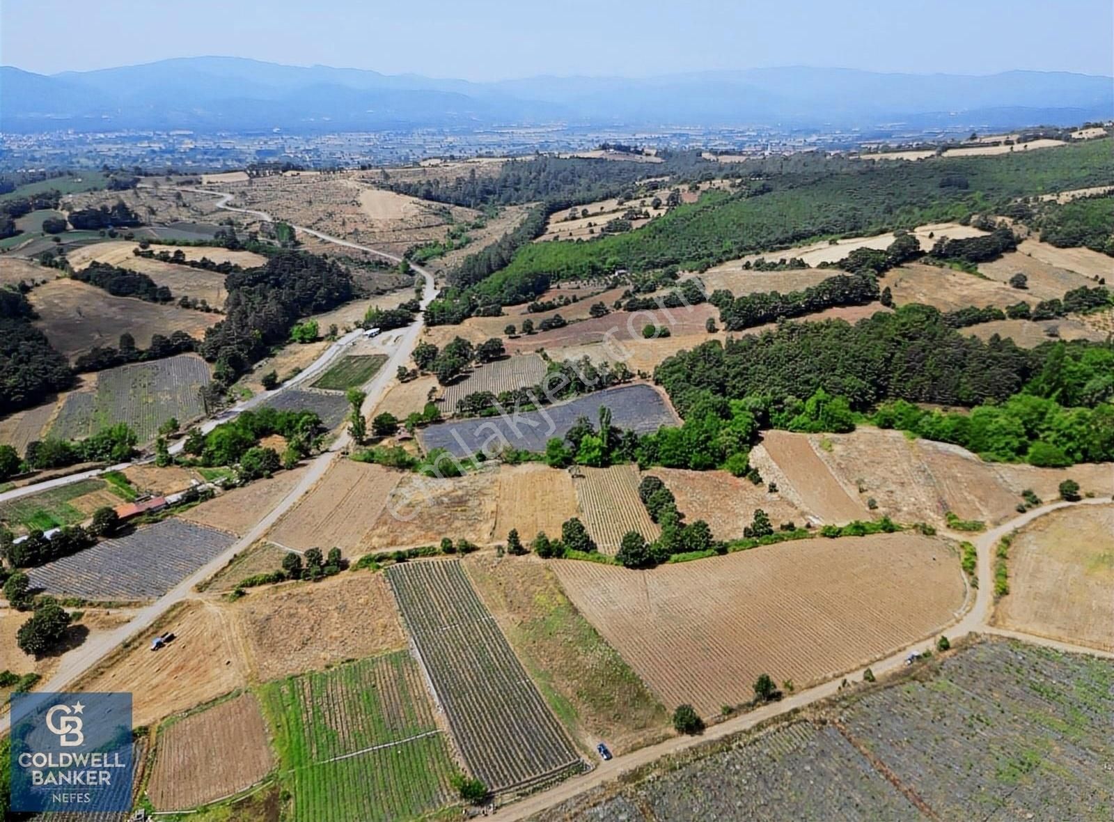 Yenice Kurtlar Köyü Satılık Tarla Çanakkale Yenice Kurtlar Köyünde 2358 M² Satılık Tarla !