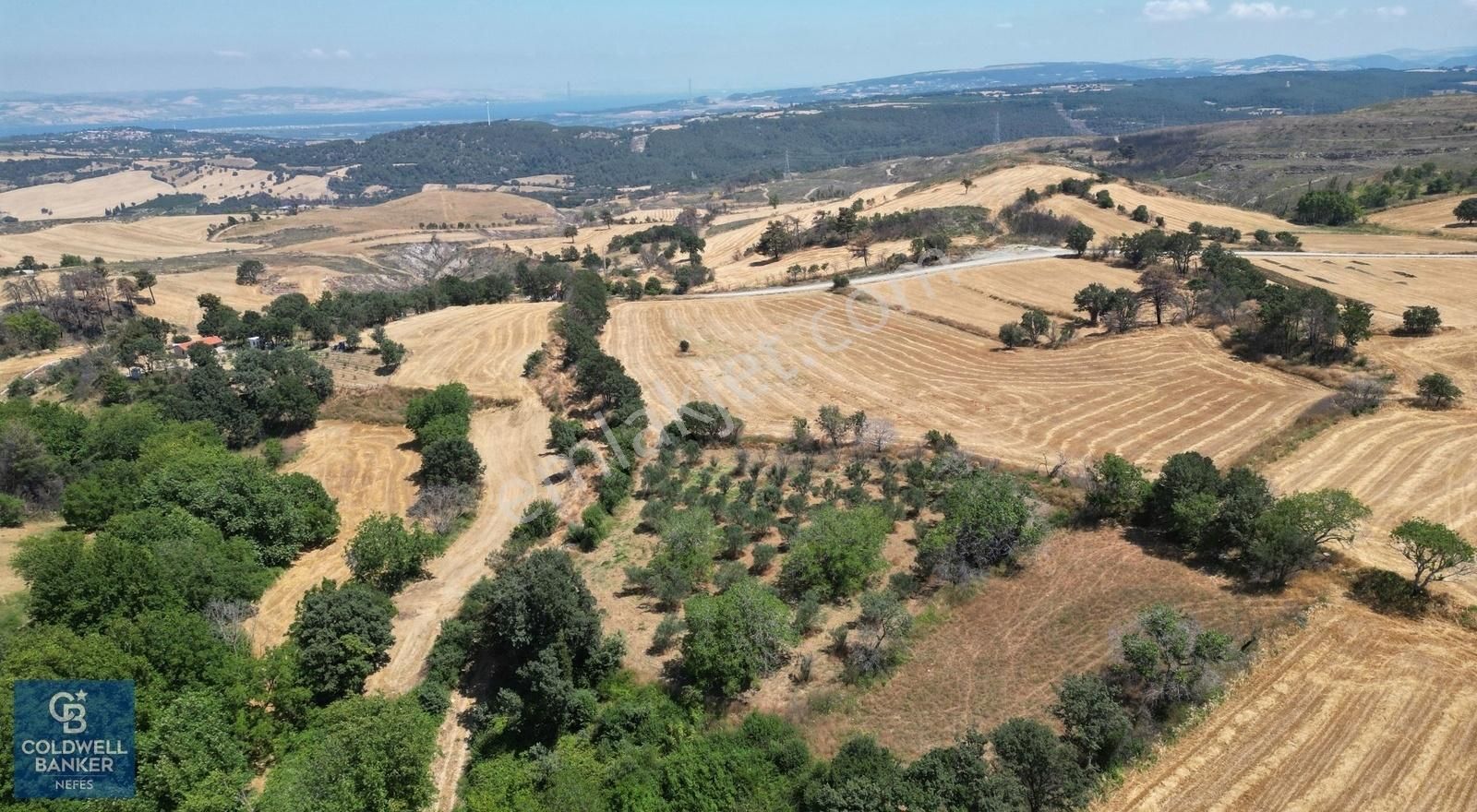 Çanakkale Merkez Kızılkeçili Köyü Satılık Tarla ÇANAKKALE MERKEZ KIZILKEÇİLİ' DE SATILIK TARLA