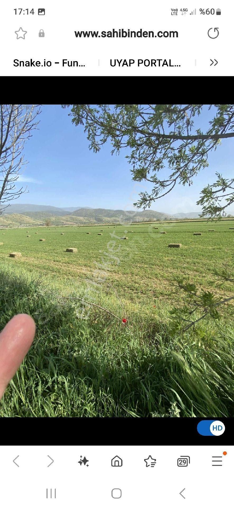 Fiyat Düstü !!! Bozdoğan Yolu 50 M Yonca Tarlasi - Görsel 7