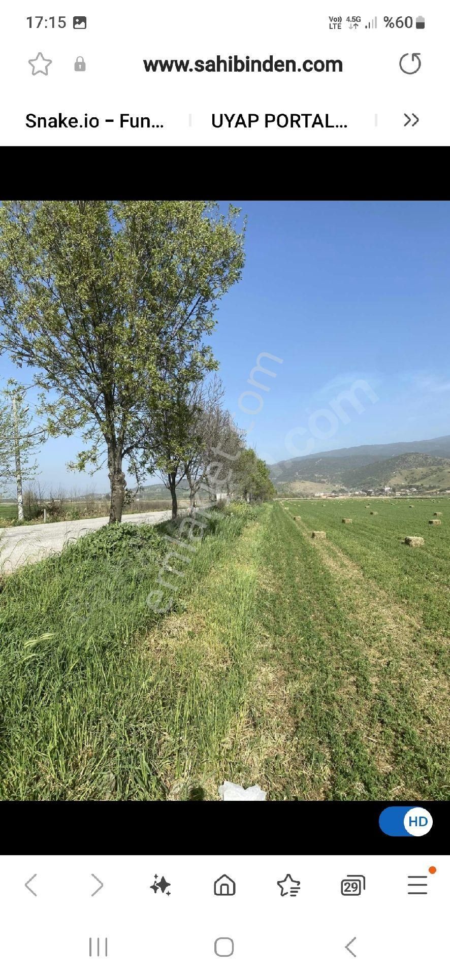 Fiyat Düstü !!! Bozdoğan Yolu 50 M Yonca Tarlasi - Görsel 6