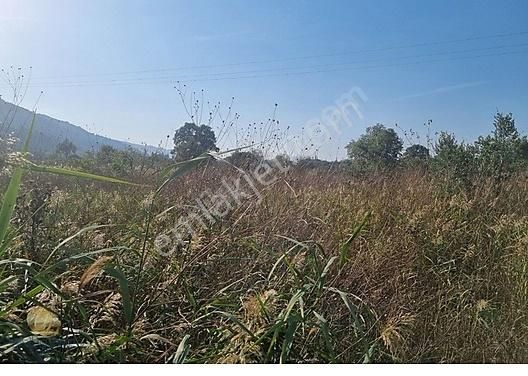 Bursa Gemlik Togg'a Yakın, Anayola Cephe 1.841 M² Arazi - Görsel 12