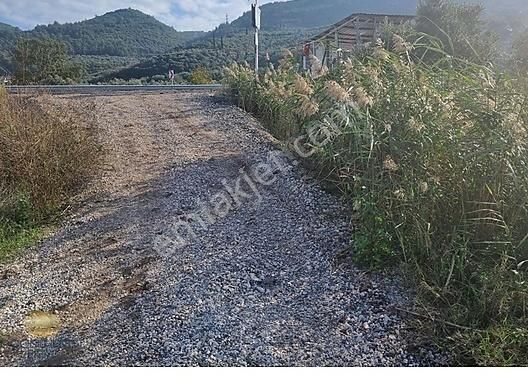 Bursa Gemlik Togg'a Yakın, Anayola Cephe 1.841 M² Arazi - Görsel 5