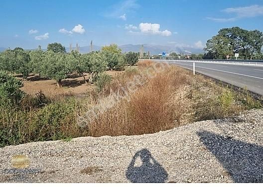 Bursa Gemlik Togg'a Yakın, Anayola Cephe 1.841 M² Arazi - Görsel 7