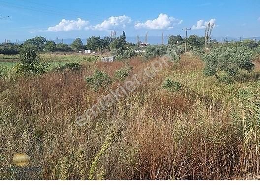 Bursa Gemlik Togg'a Yakın, Anayola Cephe 1.841 M² Arazi - Görsel 13