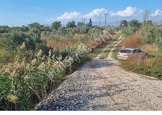 Bursa Gemlik Togg'a Yakın, Anayola Cephe 1.841 M² Arazi - Görsel 9