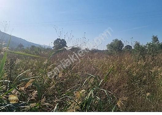 Bursa Gemlik Togg'a Yakın, Anayola Cephe 1.841 M² Arazi - Görsel 6