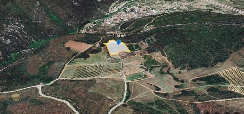 Kestel Narlıdere Satılık Tarla Kestel Narlıderede 5.425 M² Yola Cephe Satılık Şeftali Bahçesi