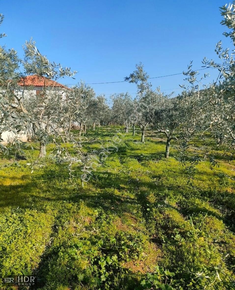 Ödemiş Konaklı Satılık Ticari İmarlı KONAKLI ADAGÜME'DE SATILIK ARSA