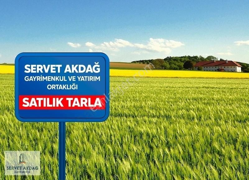 Tarsus Kargılı Satılık Tarla Tarsus Kargılı Yeni Havalanı Satlık 15596 M2 Çok Amaçlı Tarla