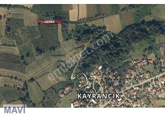 Adapazarı Kayrancık Satılık Tarla Remax Mavi'den Adapazarı Kayrancık Mah.'de Satılık Tarla