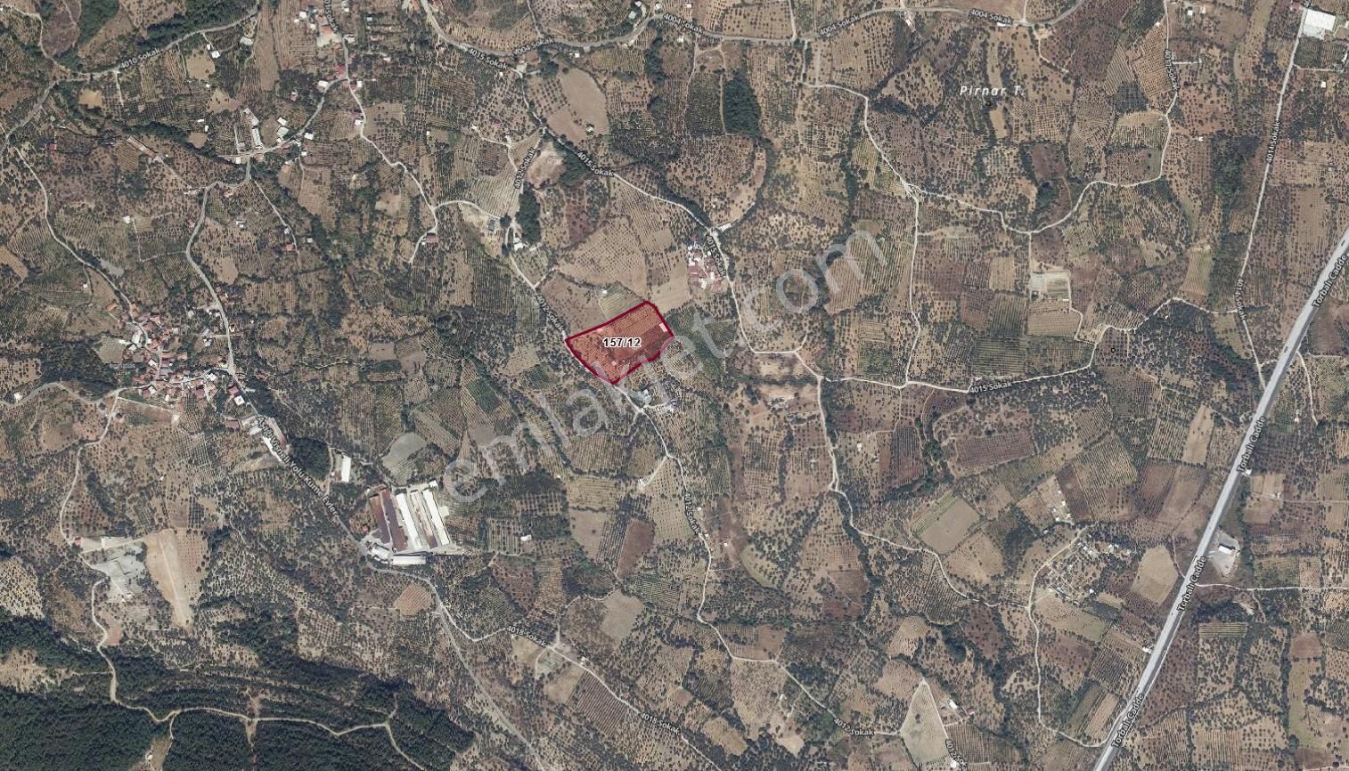 Kemalpaşa Vişneli Satılık Zeytinlik  İZMİR KEMALPAŞA VİŞNELİ'DE 4800 M2 SATILIK ZEYTİNLİK TARLA