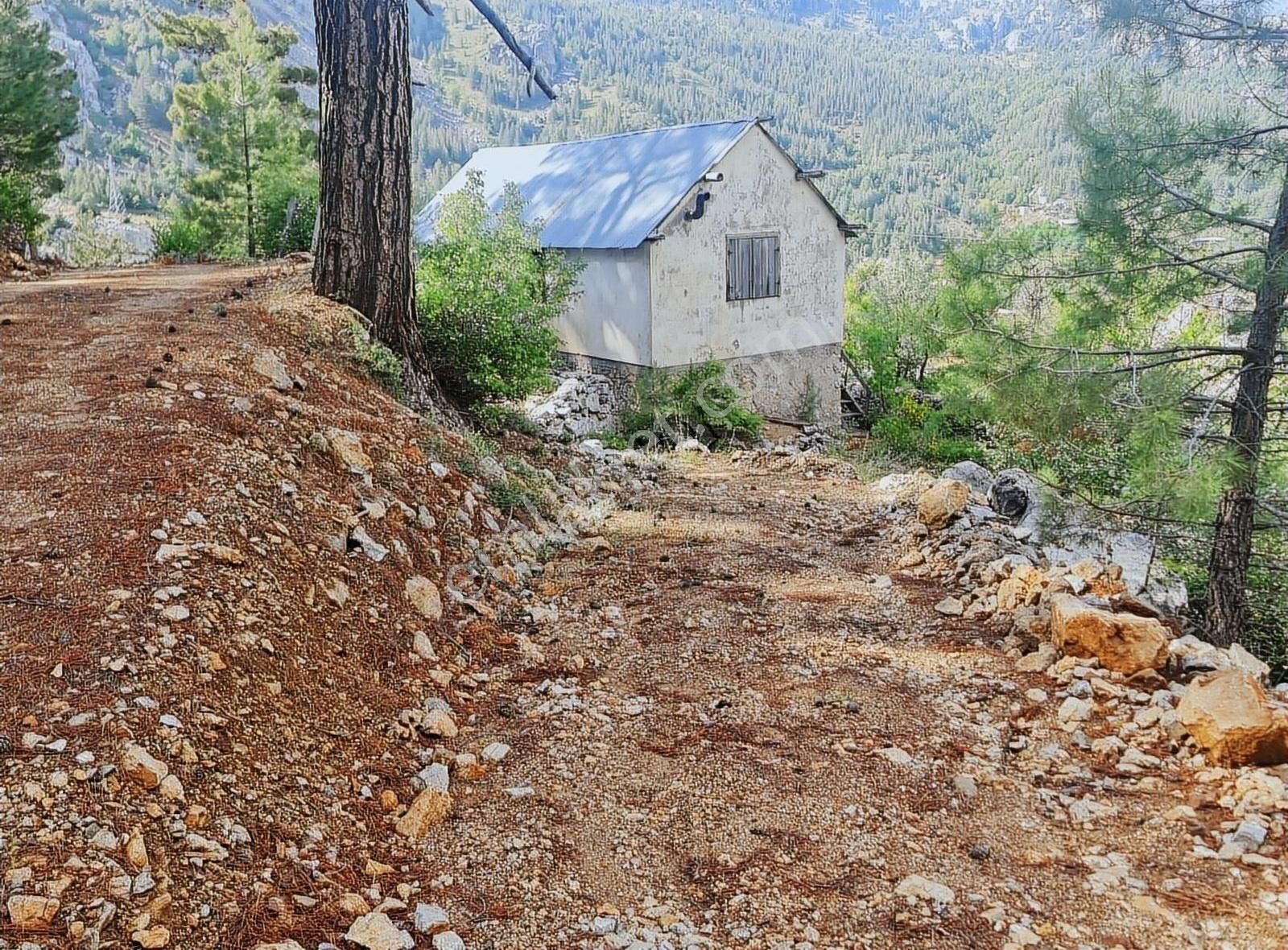 Alanya Cumhuriyet Satılık Tarla ALANYA ÇAYARASINDA YAYLA EVİ