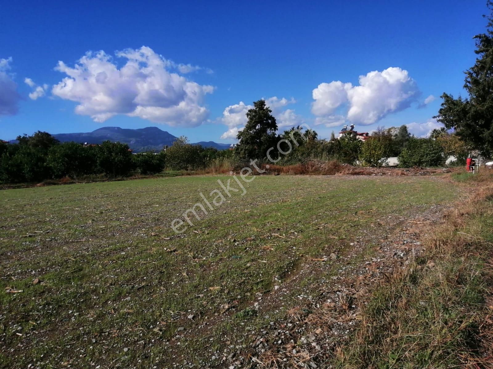 Ortaca Okçular Satılık Konut İmarlı  Muğla, Ortaca, Okçularda 735 M2 Arsa Satılık