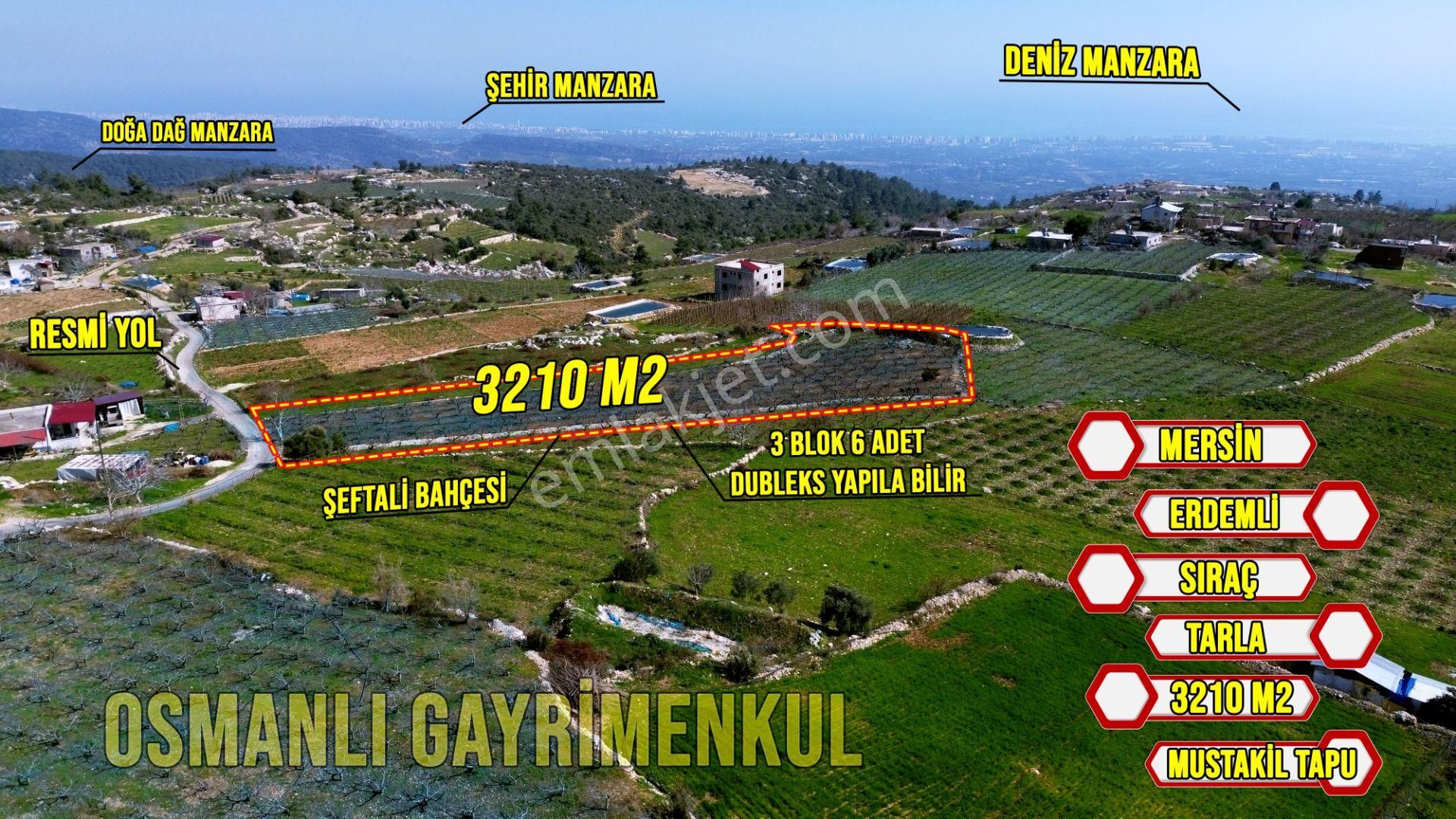 Erdemli Sıraç Satılık Tarla  ERDEMLİ SIRAÇ MAHALLESİ 3210 M2 SATILIK ŞEFTALİ BAHÇESİ