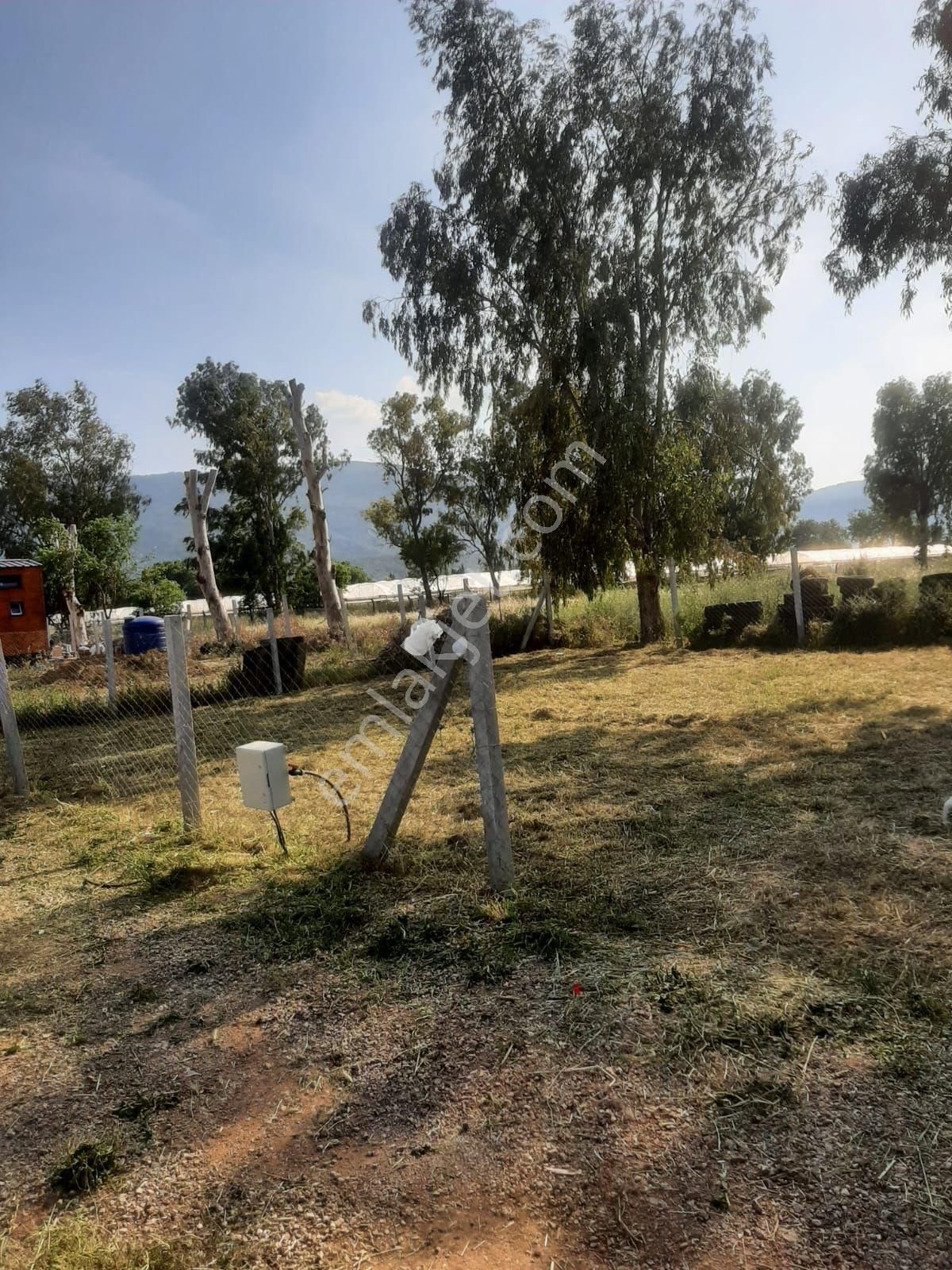 Muhteşem Hobi Bahçesi - Görsel 3