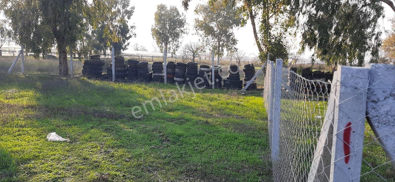 Muhteşem Hobi Bahçesi - Görsel 6