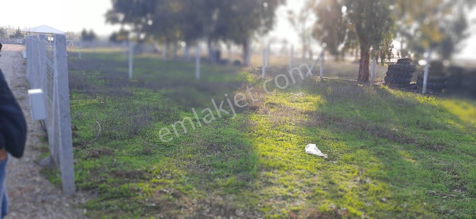 Muhteşem Hobi Bahçesi - Görsel 5