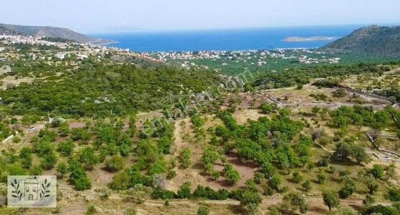 Datça Yaka Satılık Tarla Marinden Yaka Mah. Kumyer'de 1.800 M2 Yerleşim Bitişiği Arazi