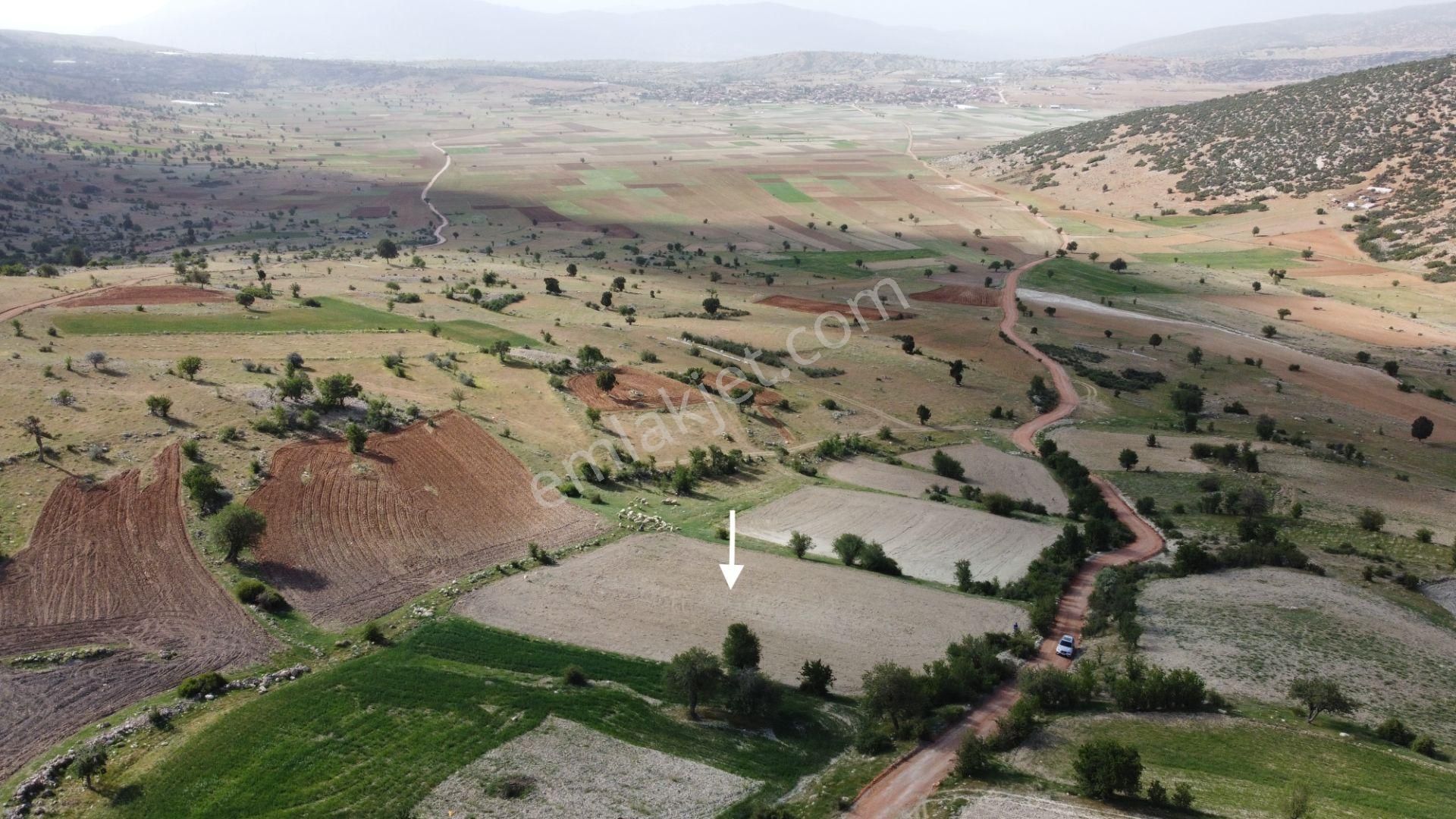 Elmalı Küçüksöğle Satılık Tarla  ANTALYA ELMALI KÜÇÜKSÖĞLE MAHALLESİ, YOLU OLAN TARLA