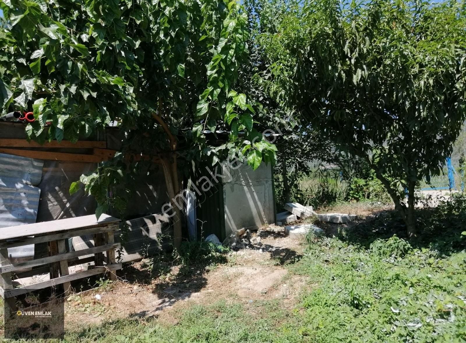 İznik Güven Emlaktan Satılık Erik Bahçesi. - Görsel 26